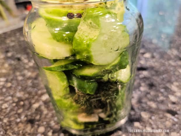 Refrigerator Dill Pickle Slices - The Grateful Girl Cooks! Jar is layered with cucumber slices, dill, garlic and peppercorns.