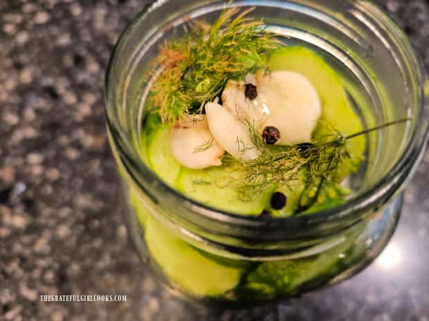 Refrigerator Dill Pickle Slices - The Grateful Girl Cooks! View of the garlic, dill and peppercorns on top of the pickle slices in jar.