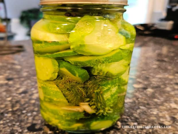 Refrigerator Dill Pickle Slices - The Grateful Girl Cooks! One jar of refrigerator dill pickle slices, ready to be stored in the fridge to develop flavor.