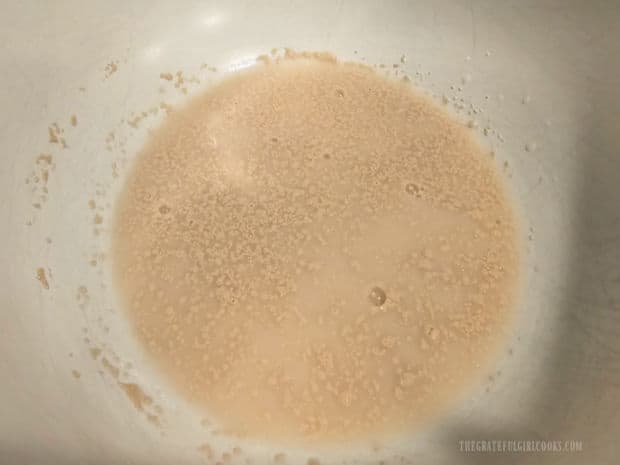 Yeast and water in a bowl, before the yeast becomes foamy and bubbly.
