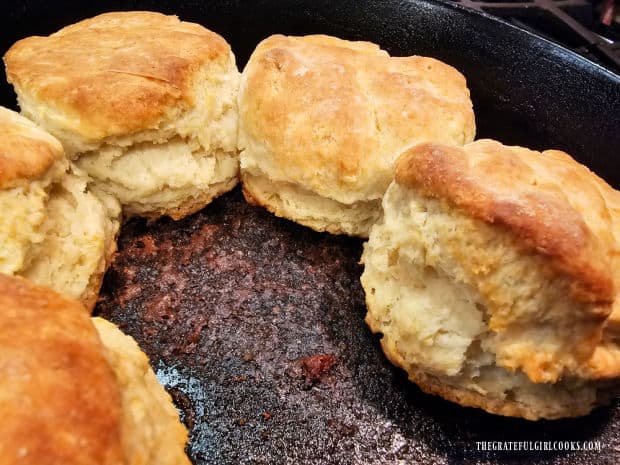 Buttery Bisquick Biscuits, hot out of the oven and ready to be eaten!