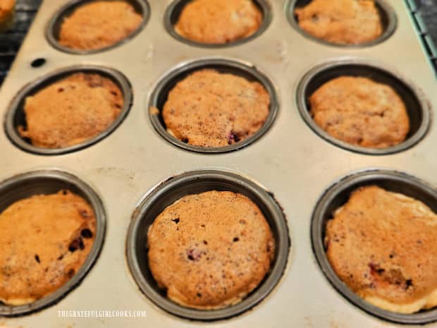 After baking, cranberry pecan tassies cool completely before removing them from pan.