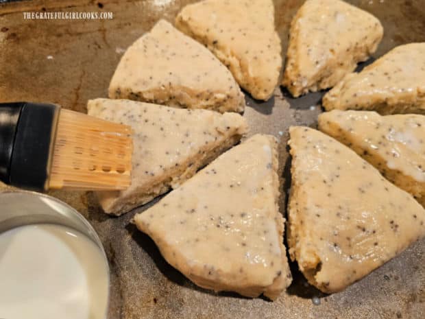 Lemon Poppyseed Scones are cut into 8 wedges and brush with milk.