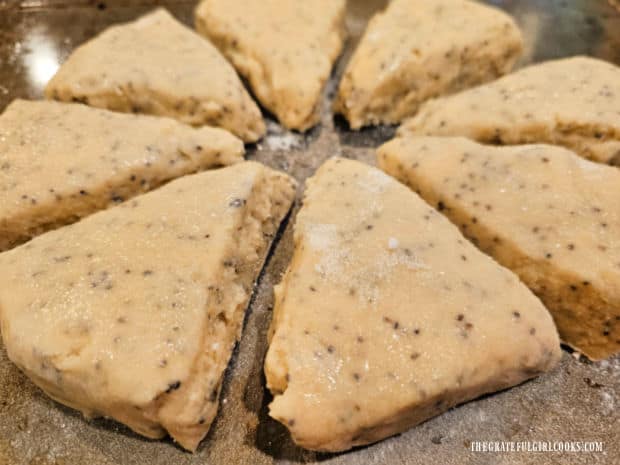 Sugar is sprinkled onto scones and then scones are put on a baking sheet.