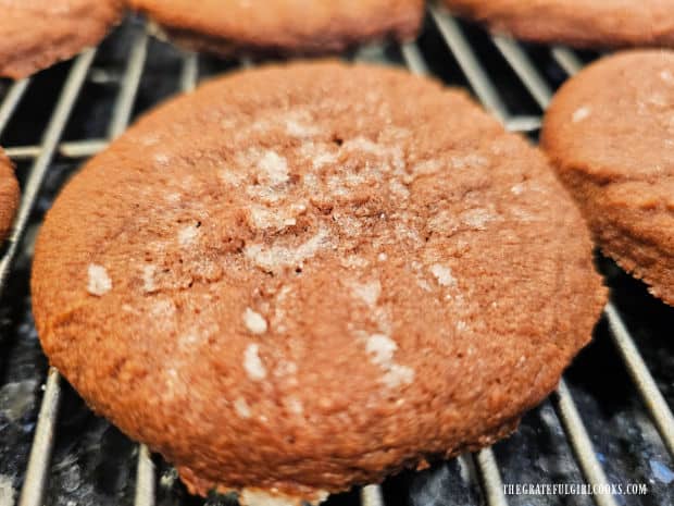 Peanut Butter and Nutella Cookies - The Grateful Girl Cooks! A closeup photo of one of the cookies, ready to be enjoyed.