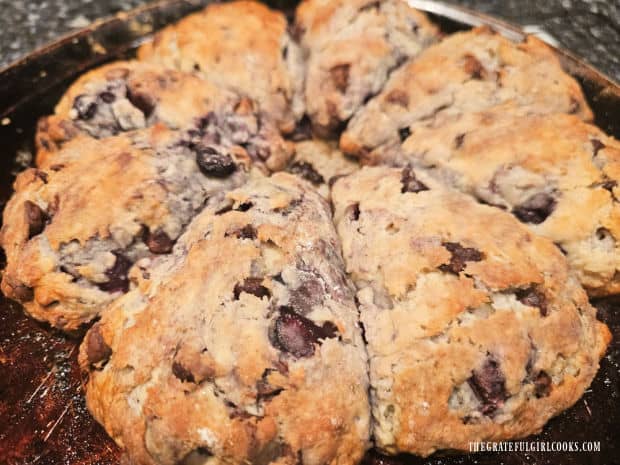 Cherry Chocolate Chip Scones - The Grateful Girl Cooks! After baking, the cherry chocolate chip scones are golden brown on top and set.