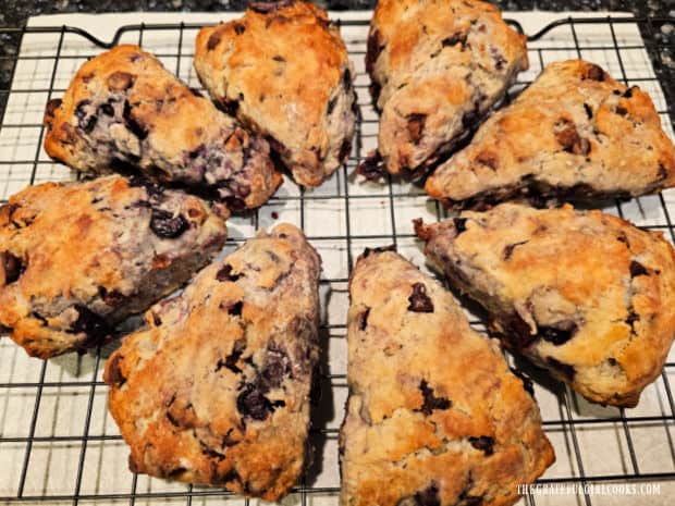 Cherry Chocolate Chip Scones - The Grateful Girl Cooks! Eight baked cherry chocolate chip scones cooling on a wire rack before glazing.