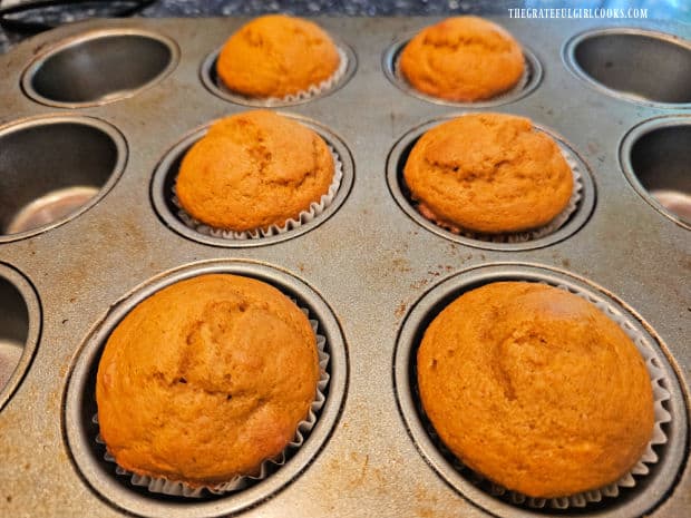Six baked pumpkin muffins cooling.