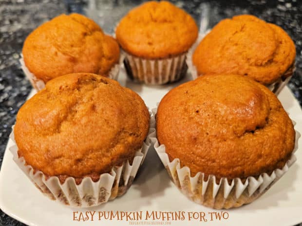 Make Easy Pumpkin Muffins For Two! This simple recipe makes 6 absolutely delicious pumpkin-spiced muffins to serve for breakfasts or snacks!