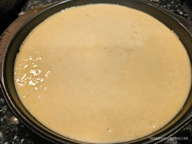 Batter for the lemon olive oil cake in cake pan, ready to bake.