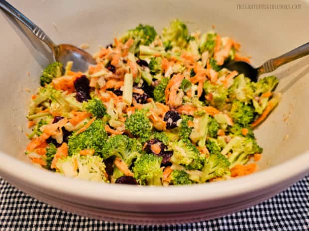 Broccoli Slaw - The Grateful Girl Cooks! Broccoli slaw is tossed to combine, then refrigerated for best flavor.