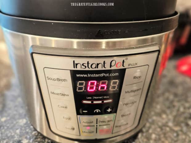 Chocolate Zucchini Cake is cooked for 65 minutes in a pressure cooker.